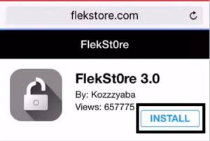 fleckstore download